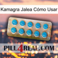 Kamagra Jalea Cómo Usar new09